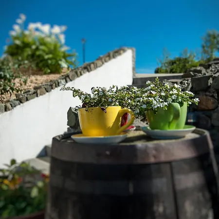 Grove House Bed & Breakfast Карлингфорд