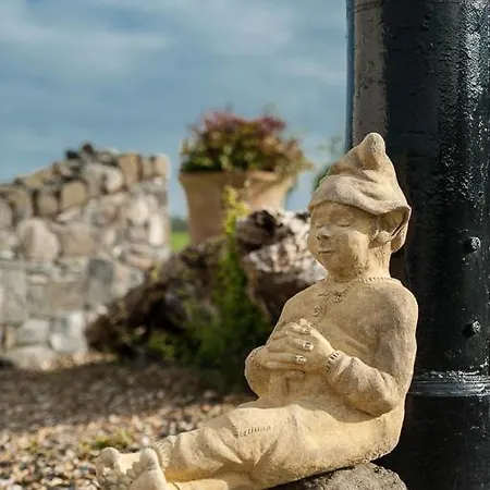 Grove House Bed & Breakfast 4* Карлингфорд