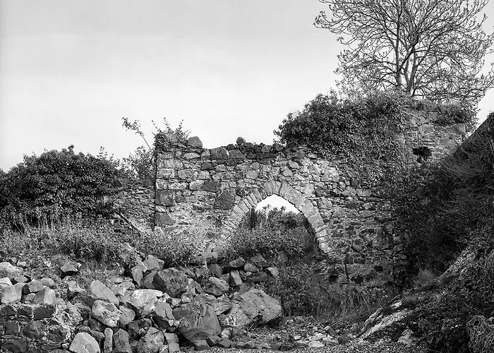 Bed & Breakfast Grove House Bed & Breakfast